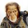 Planet Of The Apes Airbrush