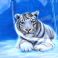 White Tiger Airbrush