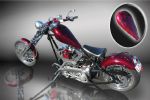 Bike Airbrushing